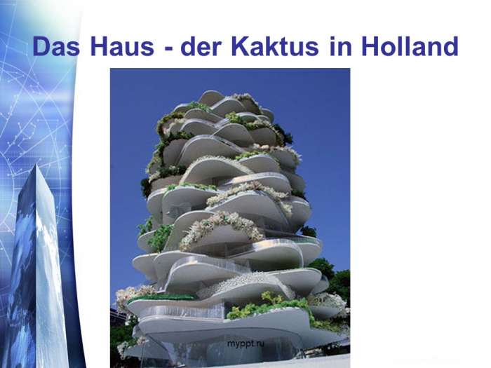 Das Haus - der Kaktus in Holland
