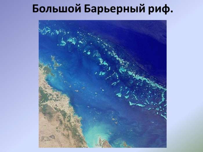 Большой Барьерный риф.