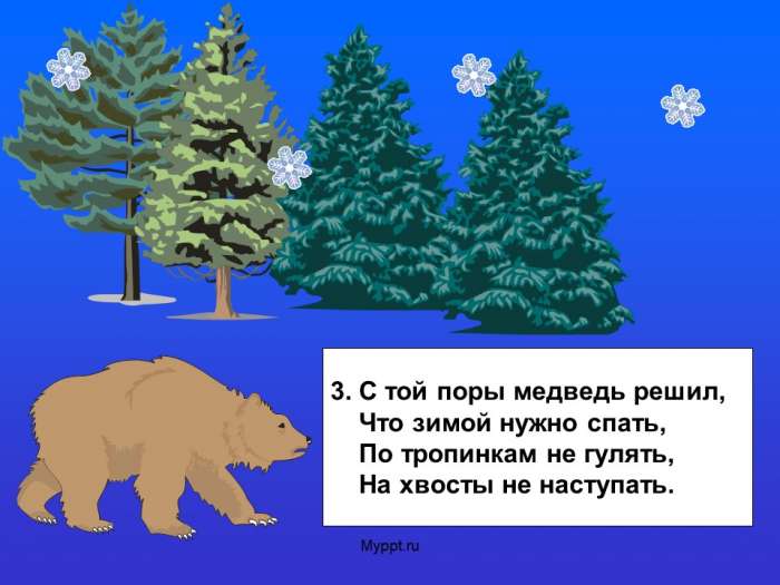 С той поры медведь решил,  Что зимой нужно спать,  По тропинкам не гулять,  На хвосты не наступать.