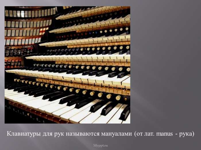Клавиатуры для рук называются мануалами (от лат. manus - рука)