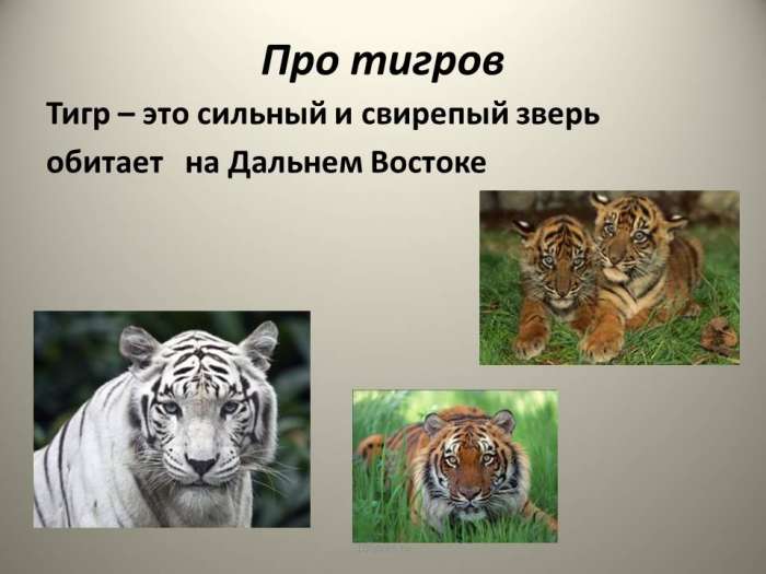 Про тигров  Тигр – это сильный и свирепый зверь  обитает на Дальнем Востоке.