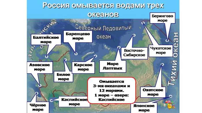 Россия омывается водами 3 океанов