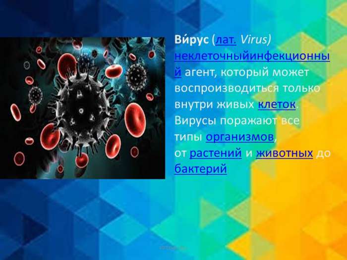 Ви́рус (лат. Virus) неклеточныйинфекционны й агент, который может воспроизводиться только внутри живых клеток. Вирусы поражают все типы организмов, от растений и животных до бактерий
