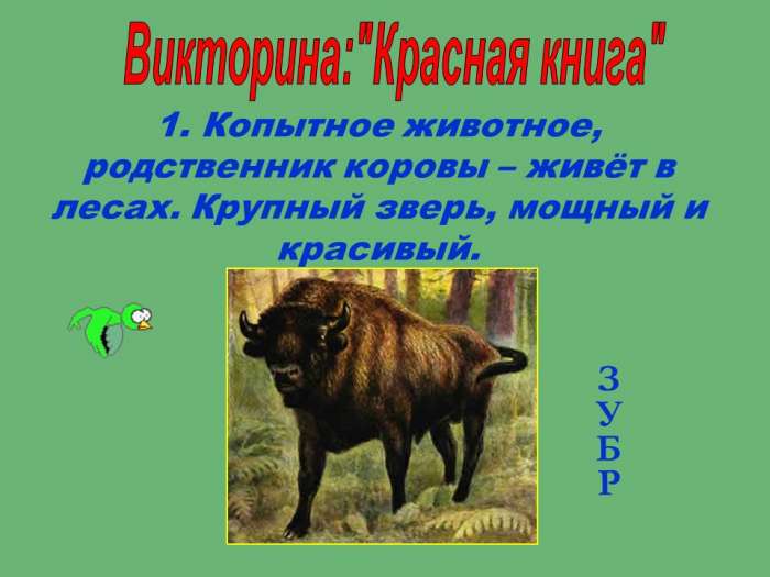 1. Копытное животное, родственник коровы – живёт в лесах. Крупный зверь, мощный и красивый.
