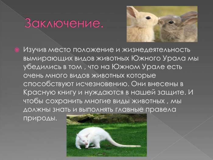 Изучив место положение и жизнедеятельность вымирающих видов животных Южного Урала мы убедились в том , что на Южном Урале есть очень много видов животных которые способствуют исчезновению.