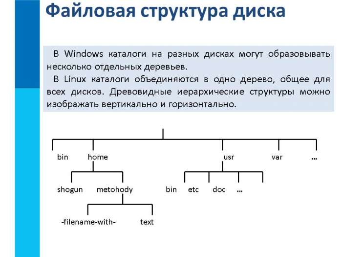 Файловая структура диска  В Windows каталоги на разных дисках могут образовывать несколько отдельных деревьев.  В Linux каталоги объединяются в одно дерево, общее для всех дисков. Древовидные иерархические структуры можно изображать вертикально и горизонтально.
