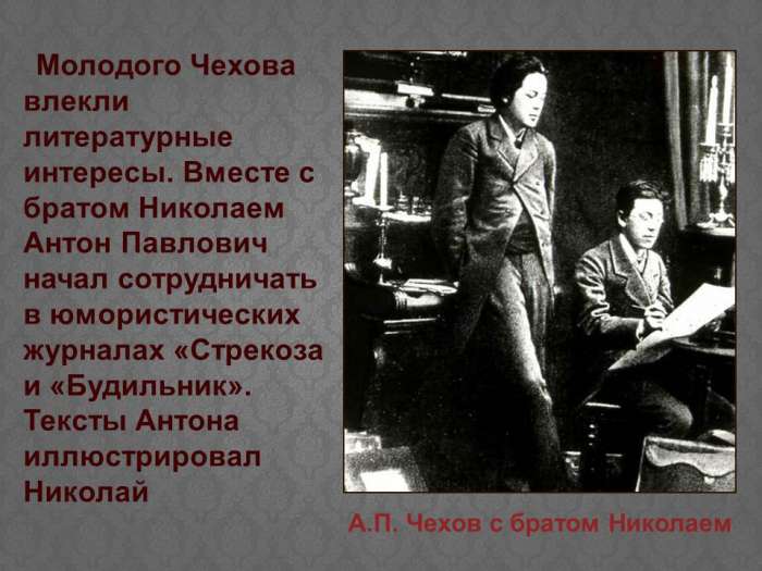 Молодого Чехова влекли литературные интересы. Вместе с братом Николаем Антон Павлович начал сотрудничать в юмористических журналах «Стрекоза и «Будильник».